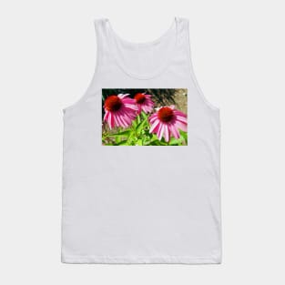 Pink and Purple Echinacea Cone Flower Macro Tank Top